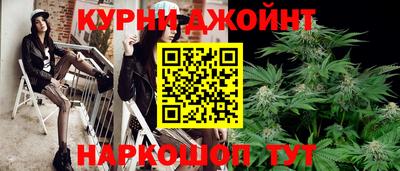 гидра Кингисепп