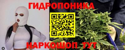гидра Кингисепп