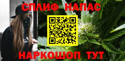 гидра Кингисепп
