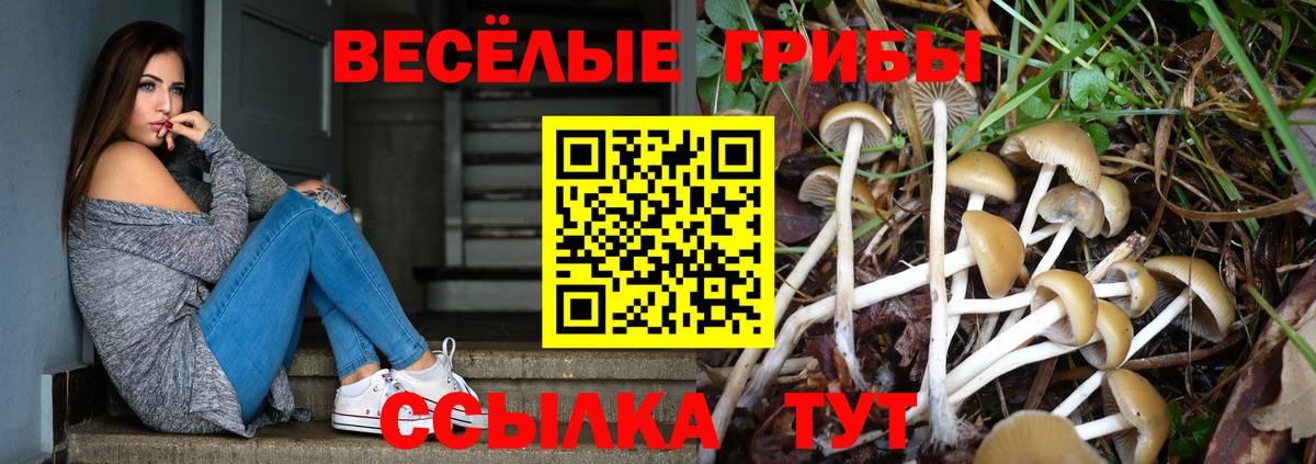 Галлюциногенные грибы Cubensis  Вход с VPN  Галлюциногенные грибы мицелий  Кингисепп 